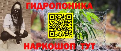 дмт Нарткала