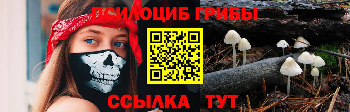 Псилоцибиновые грибы Cubensis  цены наркотик  Галлюциногенные грибы Magic Shrooms  Якутск  Вход с VPN 